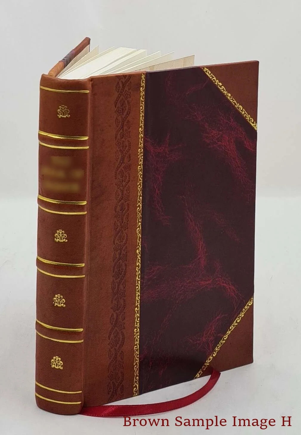 1924 [Leather Bound]. The naturalistic philosophy of the ghosts. Ghostology ..