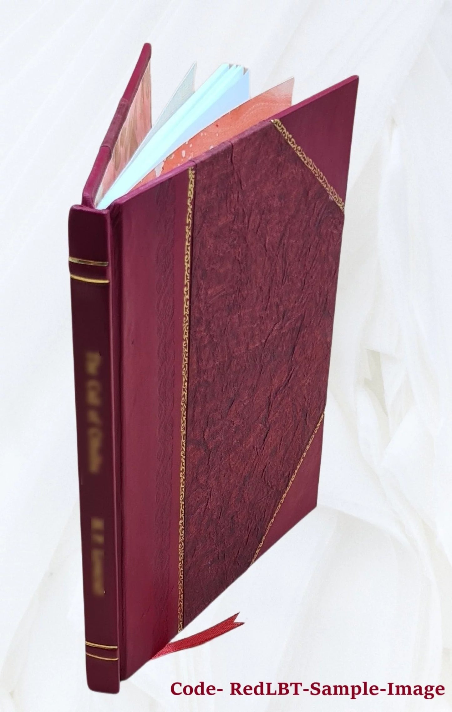 1902 [Leather Bound]. Alger-Timgad, Sidi-Okba : notes de voyage / par Ernest Layer